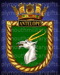 HMS Antelope Magnet